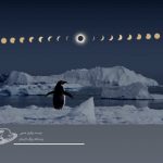 خورشید گرفتگی در سرزمین پنگوئن ها